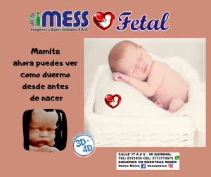 Instituto Imess