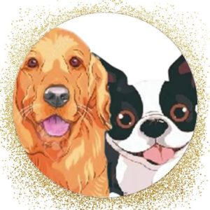 Veterinaria Clinivet Pasto